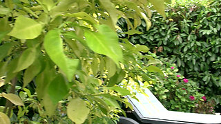 Busty French MILF Licks Balls 5200