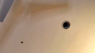 Blonde emo amateur solo masturbation