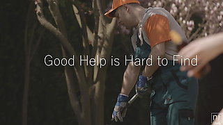 Good Help Is Hard to Find - S16:e11