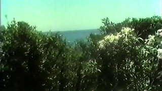 Anal-oral Trauma (1991)