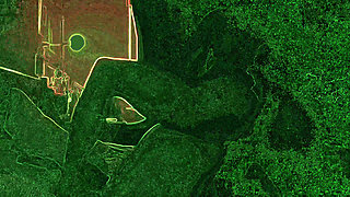 Are you experienced, cuckold?