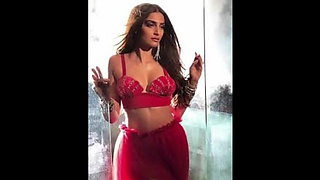 Sonam Kapoor’s fantasy sex video