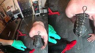 Your Testicles Must Endure Suffering for Your Mistress!