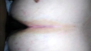 Fat Bear Takes Bareback BBC