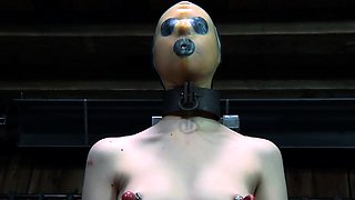 Hotty in latex suit gets wild fur pie and anal prodding