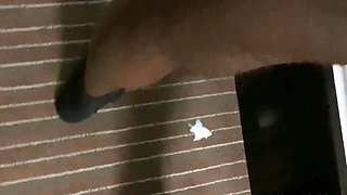 Amazing blonde having hardcore interracial sex