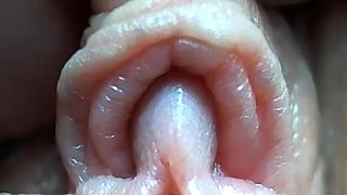 Clitoris close-up