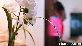 Ebony milf and yam-sized breasts mature COUGAR shag each other with fake penises