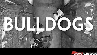 Perverted vixen thrilling adult video