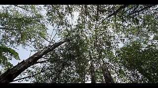 Do You Want Me to Arrange Such a Private Anal