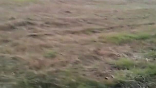 Noemies Naughty Outing