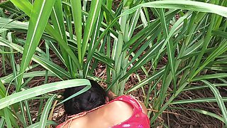 My Sexy Wife and I Hot in Sugarcane Field Indian Sex Video