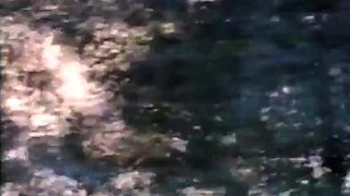 Group Sex and Hardcore Fucking Parties