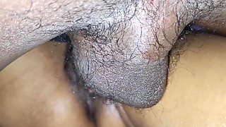 Indian Pregnant Porn Sex Video