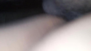 Black Dick in Beautiful White Pussy