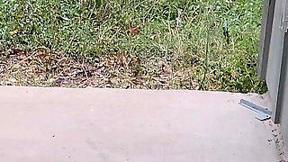 Caught in the Act Porsha Carerra & Lyric Sky Dominate BBC Secret Agent Punishment Threesome