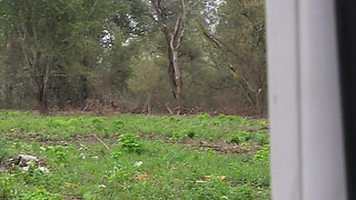 I Show My Boobs in Random Places