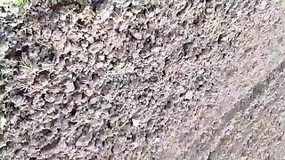 Hot Threesome Hard Fucking in Outdoor
